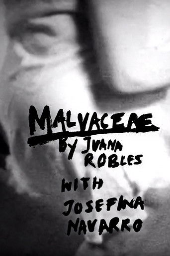 Poster for Malvaceae