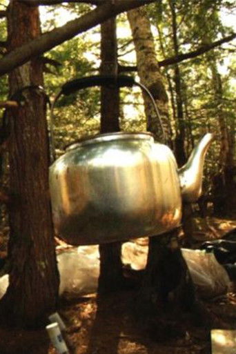 Poster for The Hermit