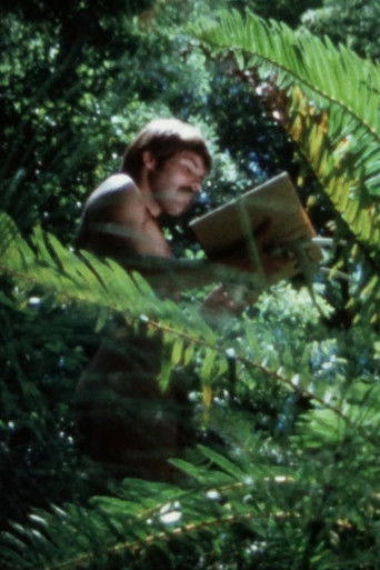 Poster for The Baptism