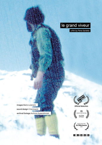 Poster for Le Grand Viveur