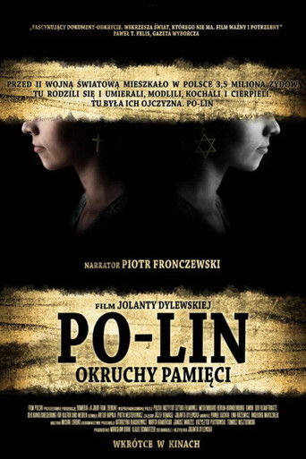 Poster for Po-lin. Shards of Memory