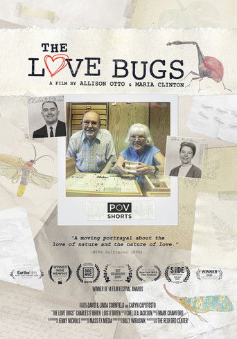 Poster for The Love Bugs