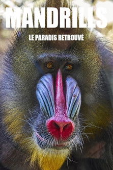 Poster for Mandrills : le paradis retrouvé