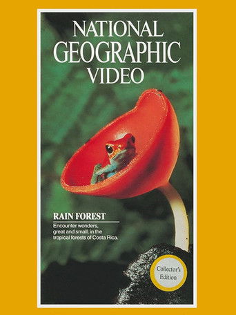 Poster for Rain Forest