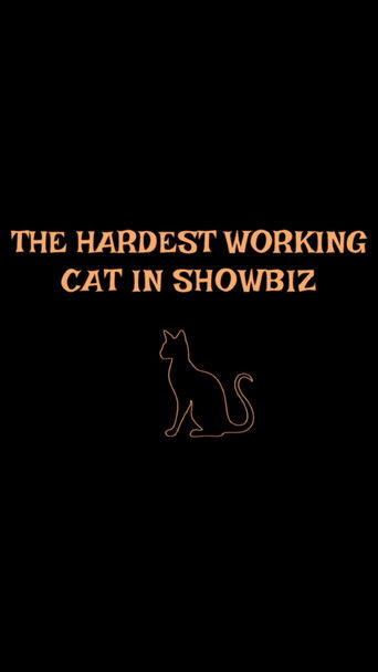 Poster for The Hardest Working Cat in Showbiz