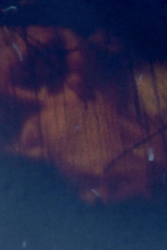 Poster for Traces