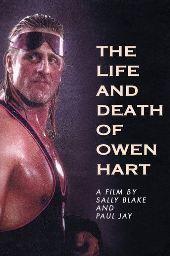 Poster for The Life and Death of Owen Hart