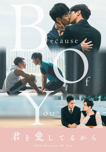 Poster for Because of You