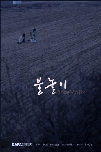 Poster for Playing with Fire