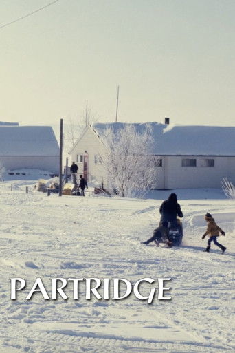 Poster for Partridge