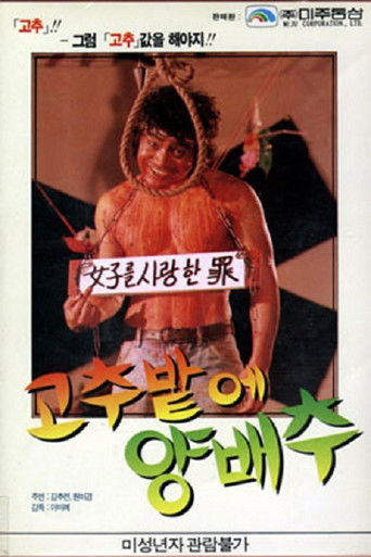 Poster for Cabbage in a Pepper Field