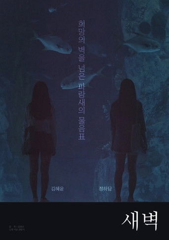 Poster for Dawn to Dawn