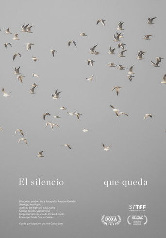Poster for El silencio que queda