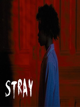 Poster for Stray