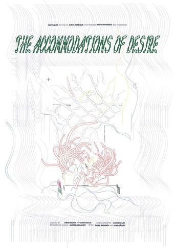 Poster for The Accommodations Of Desire