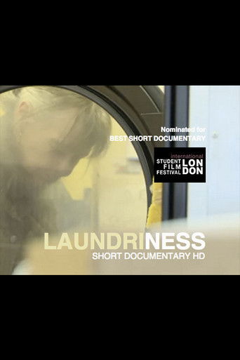 Poster for Laundriness