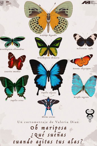 Poster for Oh Butterfly, What Do You Dream of When You Flap Your Wings?