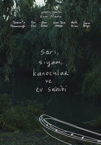 Poster for The Yellow, The Cat, The Kayakers and The Host