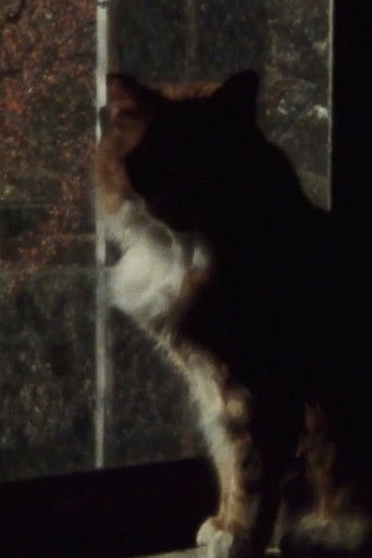 Poster for Five Year Diary, Reel 5: Mourning (January 23–30, 1982)