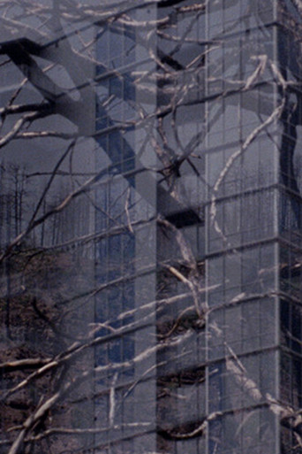 Poster for The City is a Heat Island & our Forests are on Fire