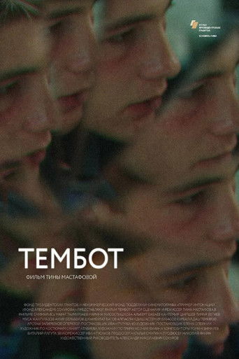 Poster for Tembot