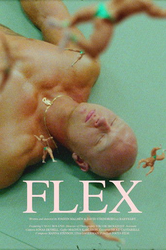 Poster for Flex