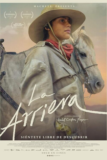 Poster for The Muleteer