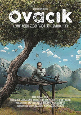 Poster for Ovacik