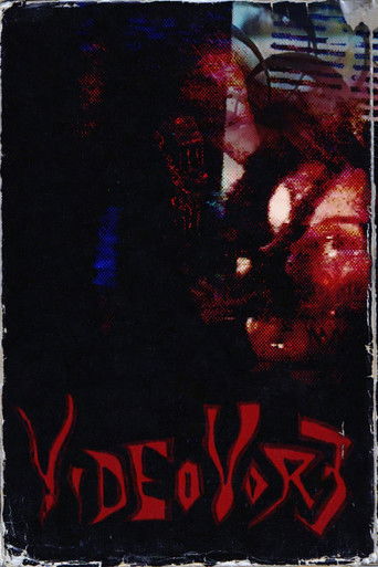 Poster for Videovore