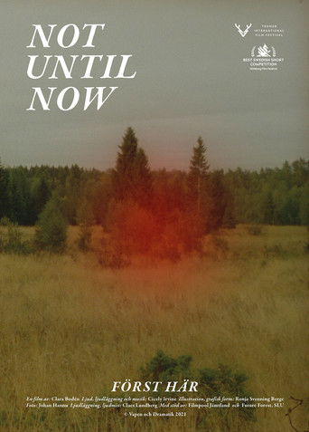 Poster for Not Until Now