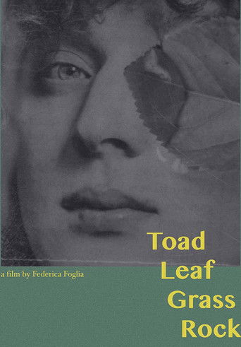 Poster for Toad, Leaf, Grass, Rock