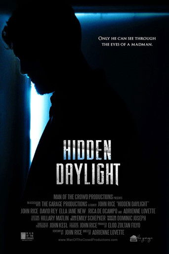 Poster for Hidden Daylight