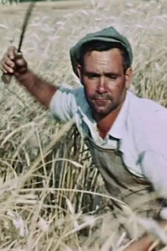 Poster for The Wheat Passion