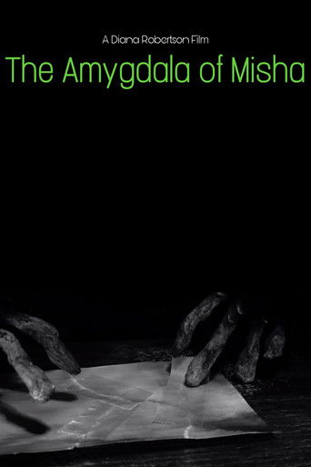 Poster for The Amygdala of Misha