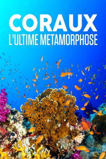 Poster for Corals, the ultimate metamorphosis