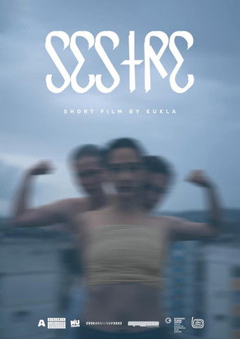 Poster for Sisters
