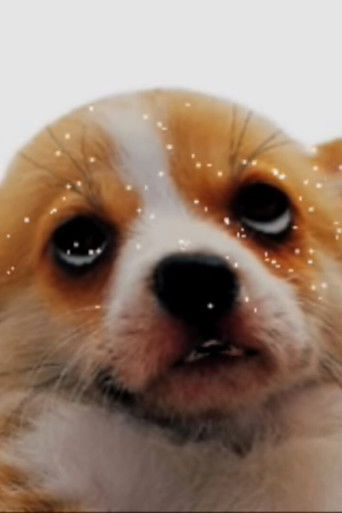 Poster for puparazzi
