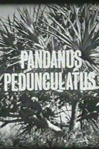 Poster for Pandanus Pedunculatus