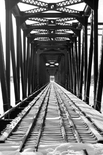 Poster for Gephyrophobia