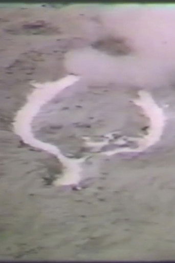 Poster for Untitled Silueta