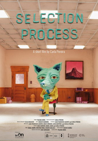 Poster for Selection Process