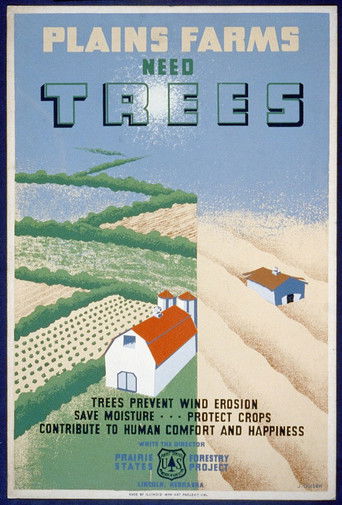 Poster for Windbreaks on the Prairies