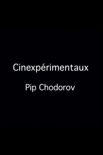 Poster for Cinexpérimentaux #4: Pip Chodorov