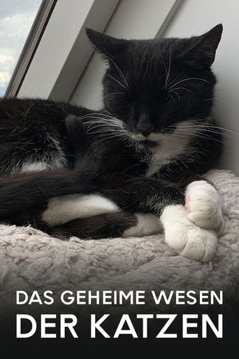 Poster for Das geheime Wesen der Katzen