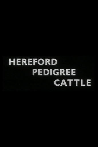 Poster for Hereford Pedigree Cattle