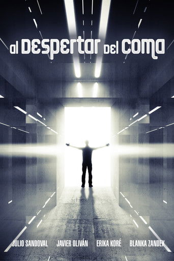 Poster for Waking Up From the Coma