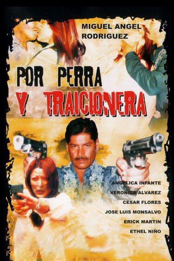 Poster for Por perra y traicionera
