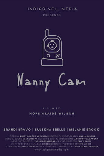 Poster for Nanny Cam