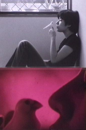 Poster for Dedicated to M