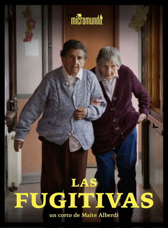 Poster for The Fugitives